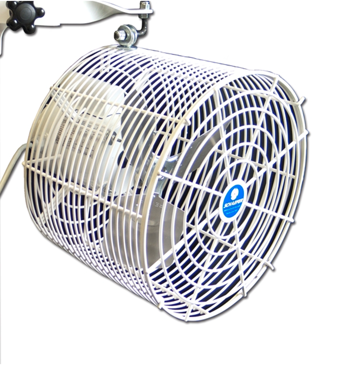 Tent Fan – Stylized Events