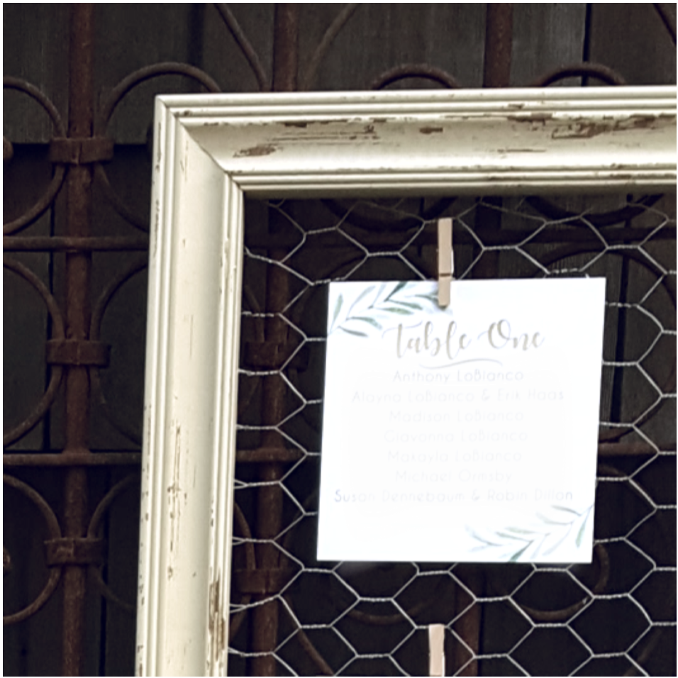 Frame with online chicken wire michaels